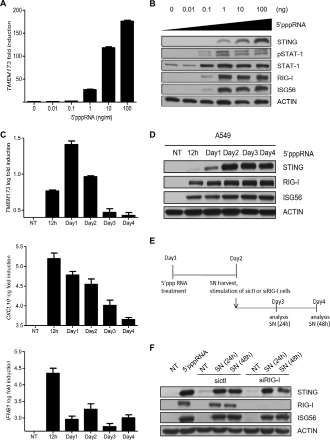 FIG 2