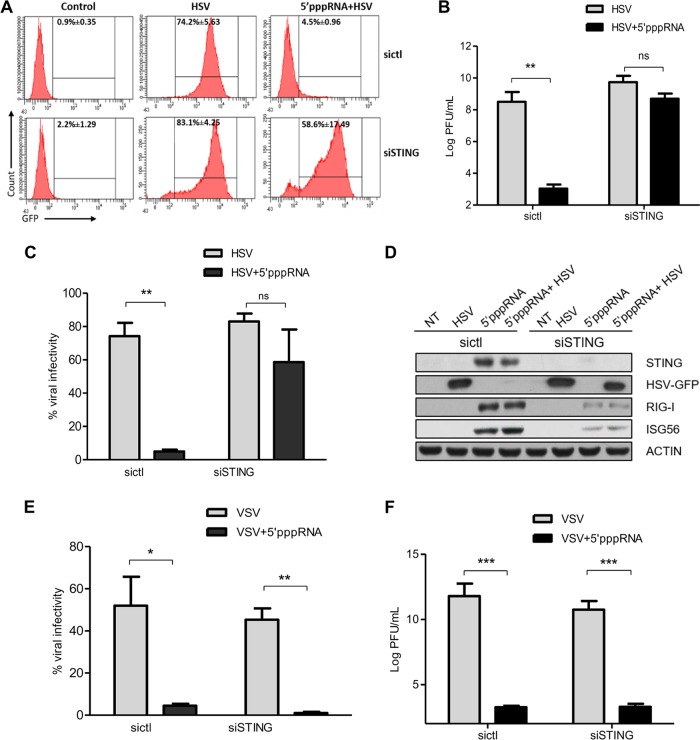 FIG 6