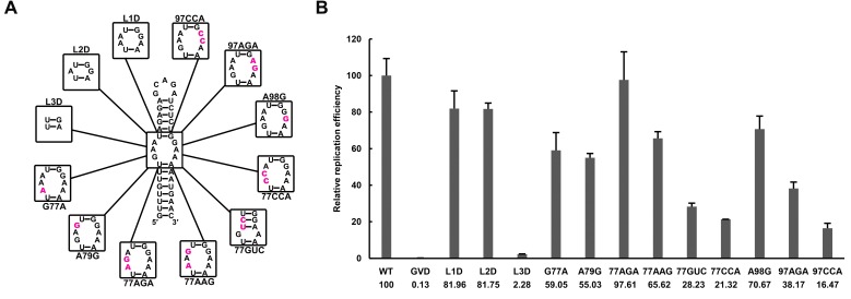 Figure 7—figure supplement 1.