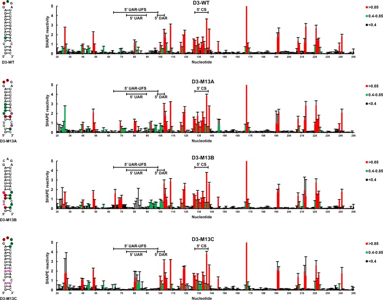 Figure 2—figure supplement 1.