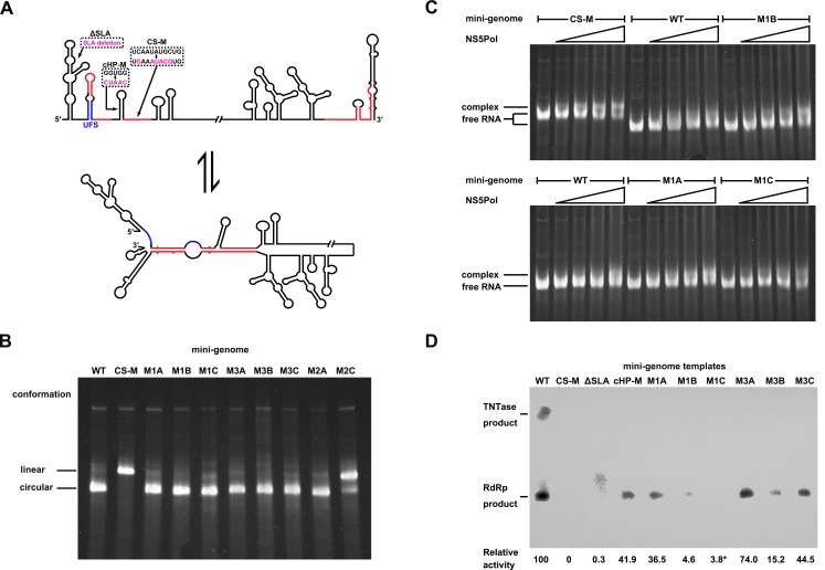 Figure 10.