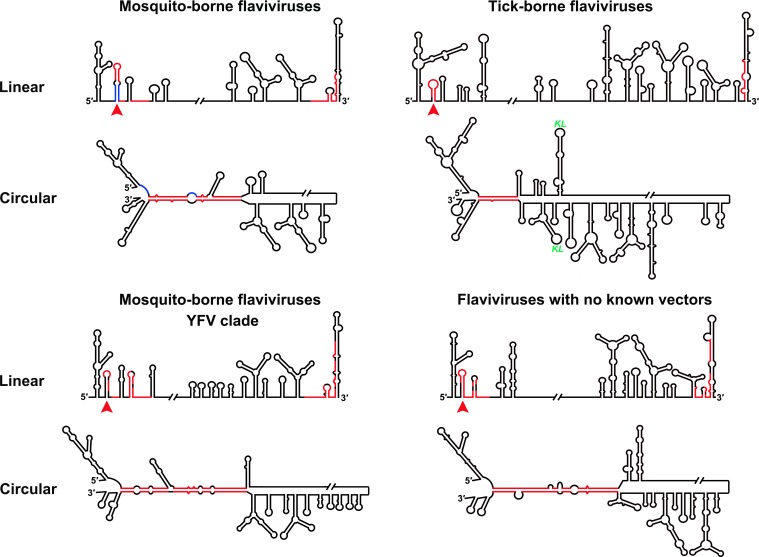 Figure 12.