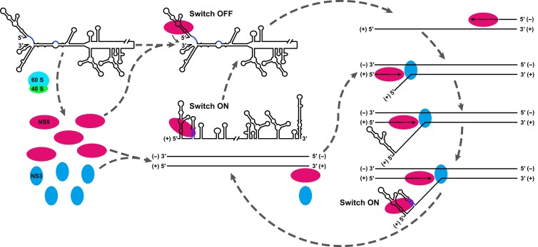 Figure 11.