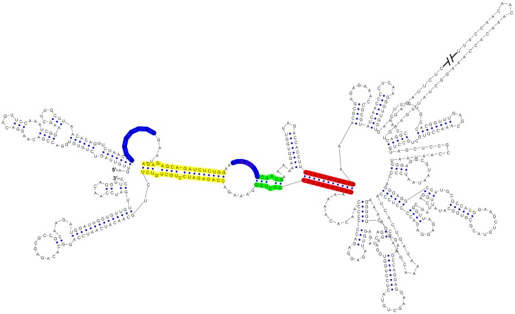 Figure 1—figure supplement 1.