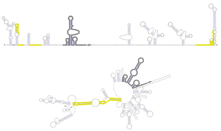 Figure 12—figure supplement 1.