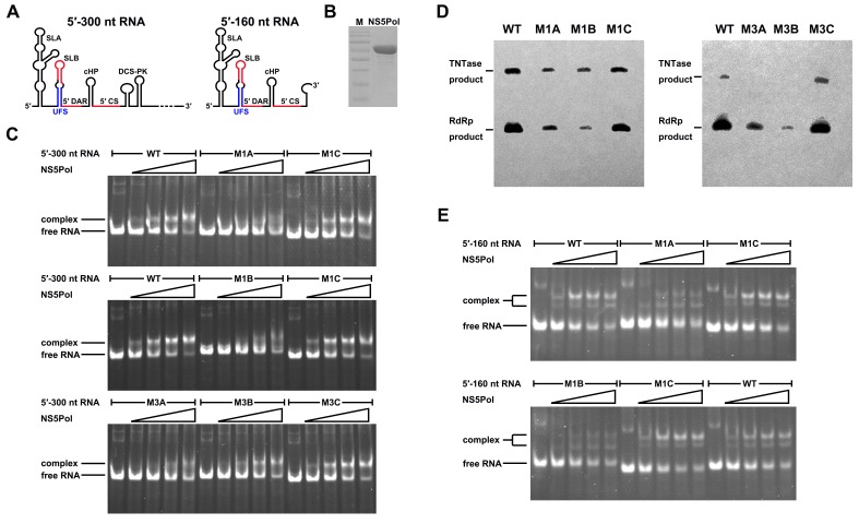 Figure 6.