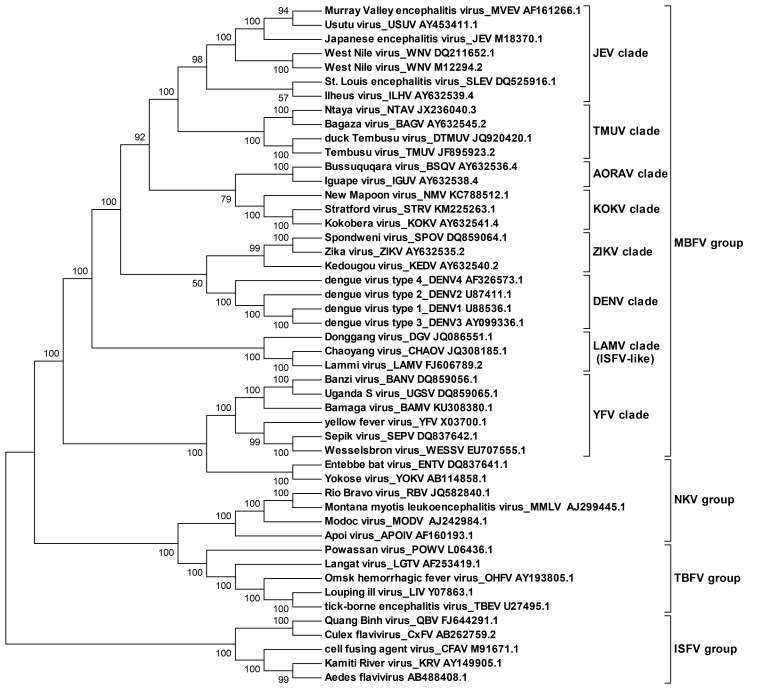 Figure 1—figure supplement 2.