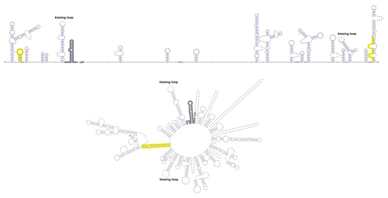 Figure 12—figure supplement 3.