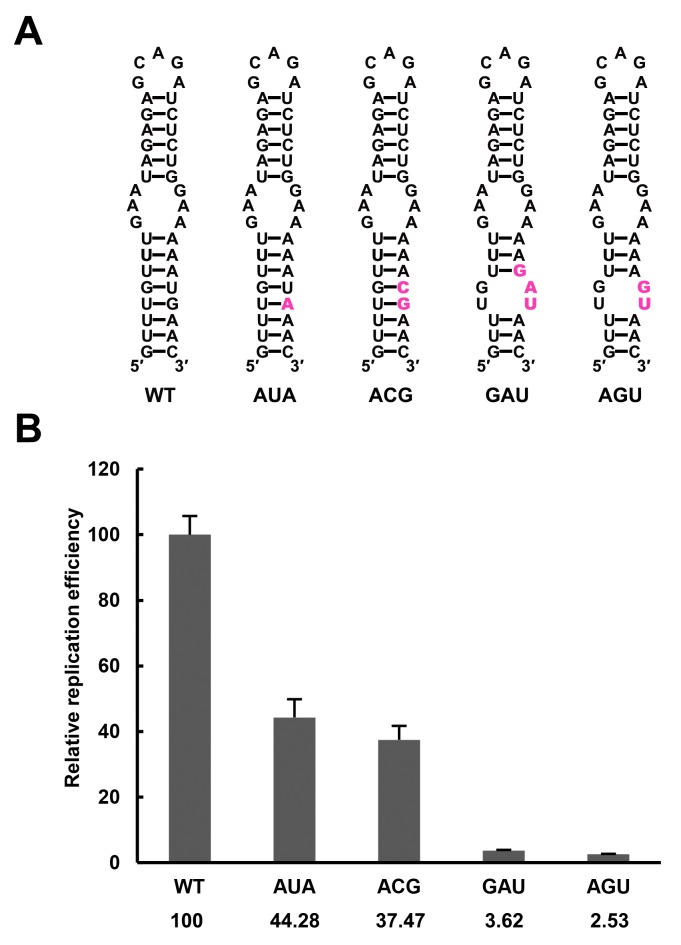 Figure 3—figure supplement 1.