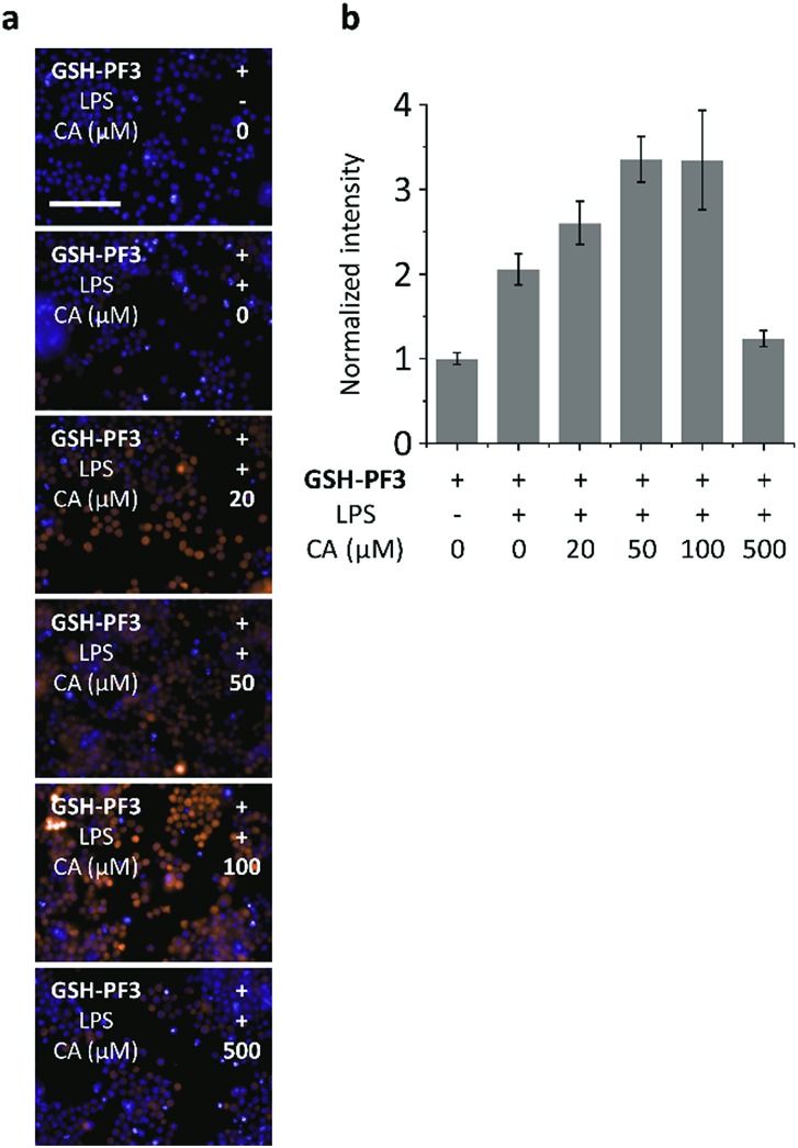 Fig. 4