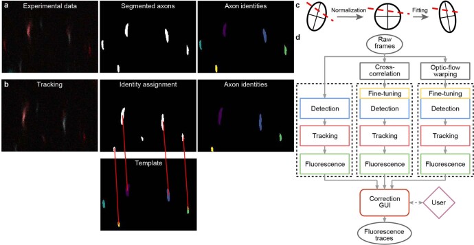 Extended Data Fig. 2