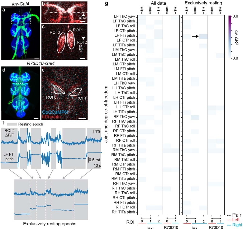 Extended Data Fig. 4