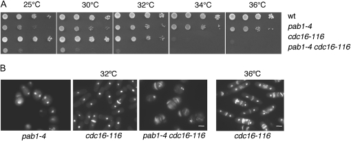 Figure 2.—