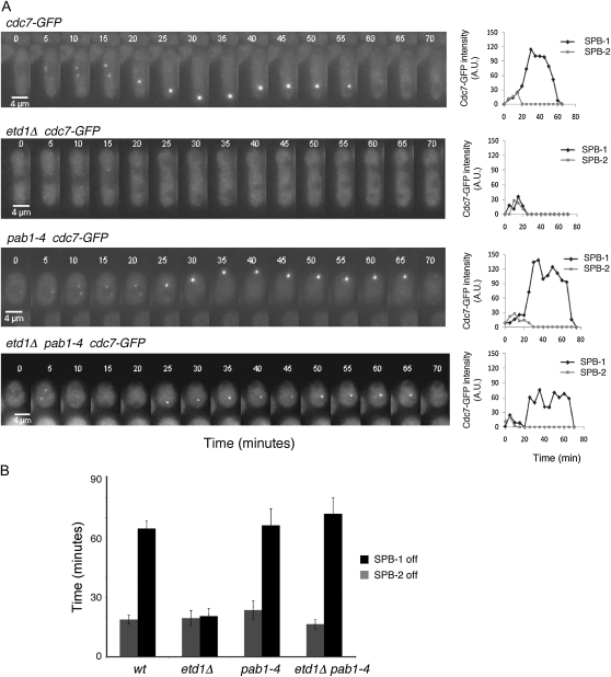 Figure 3.—