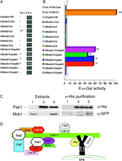 Figure 5.—