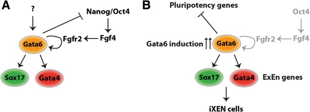 Figure 7.