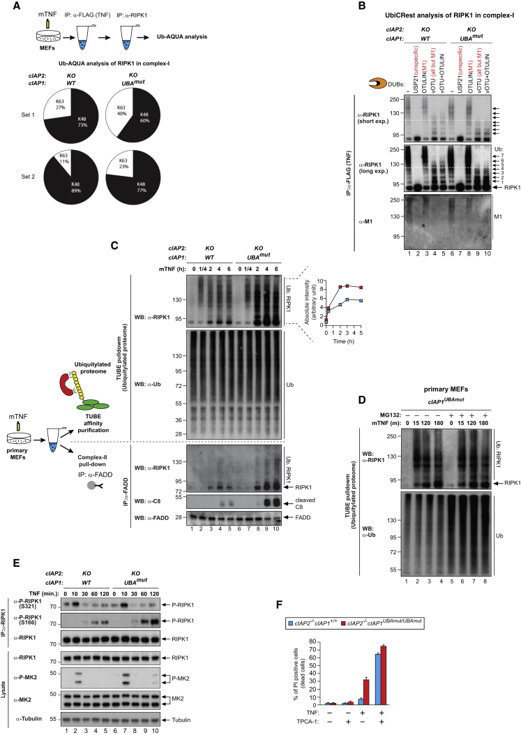 Figure 7