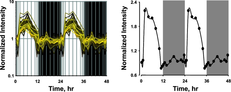 Fig. 8.