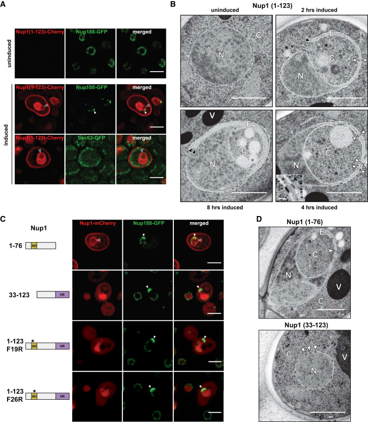 Figure 3