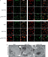 Figure 6