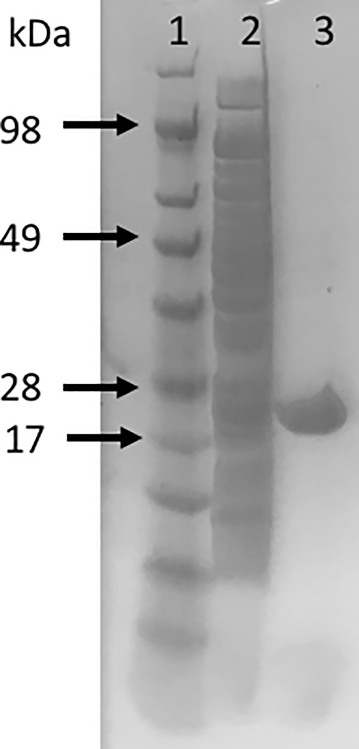 Fig 1