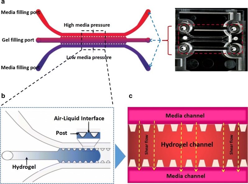 Fig. 1