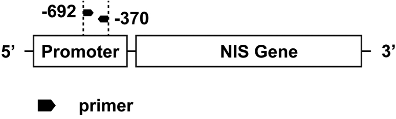 Figure 9