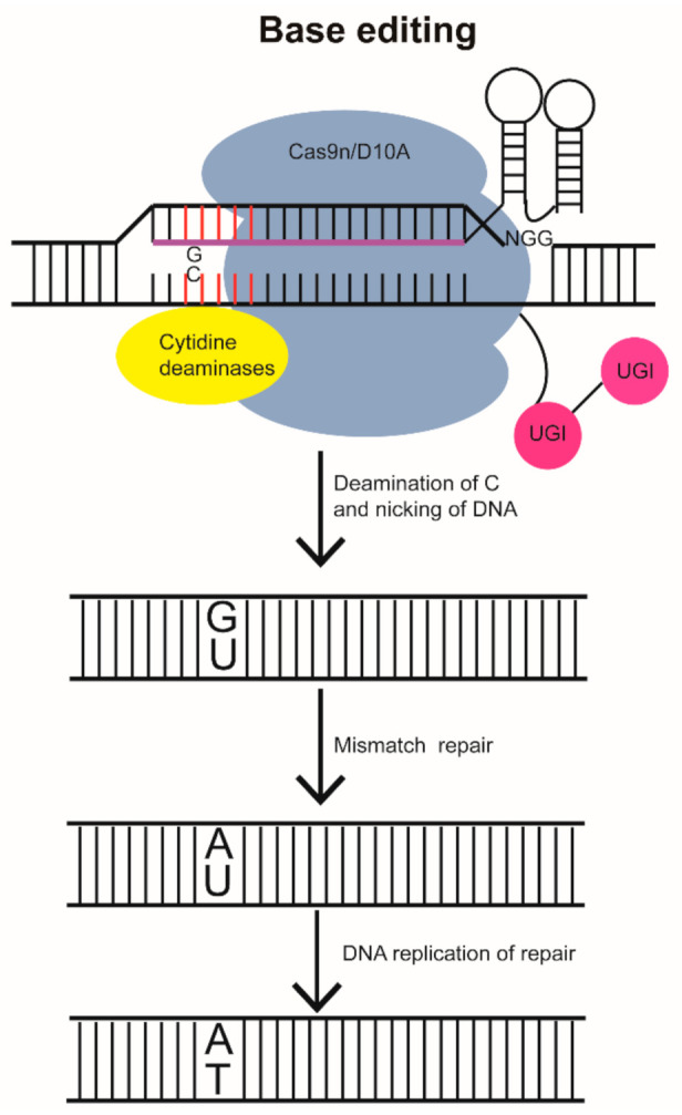 Figure 4