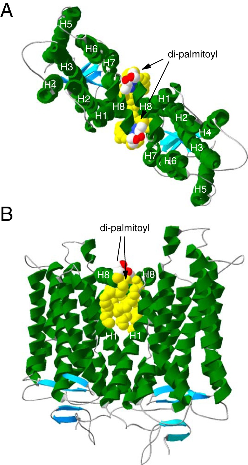 Figure 5.