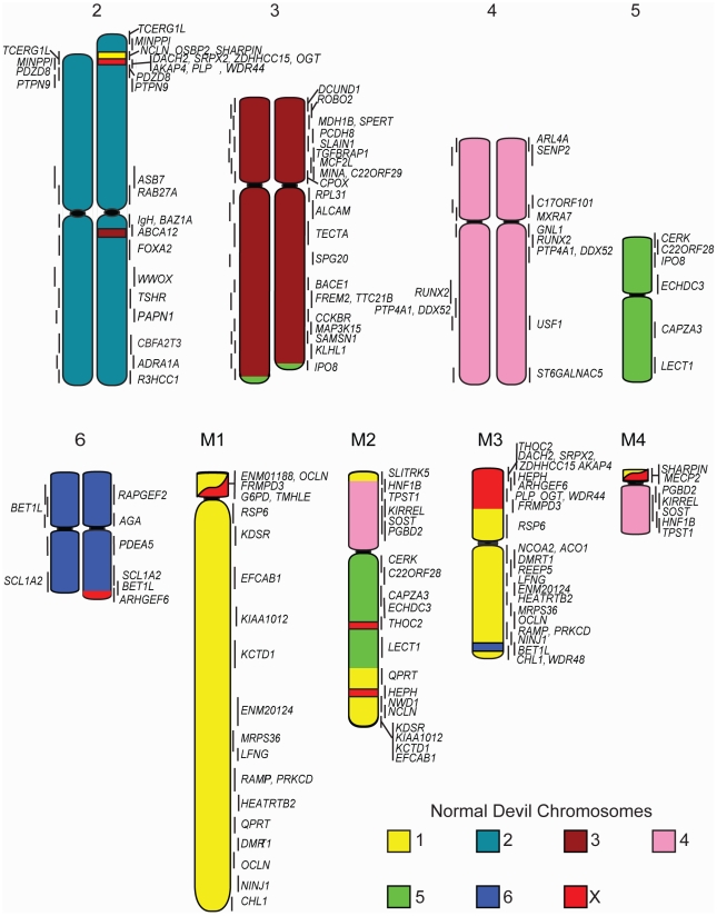 Figure 5