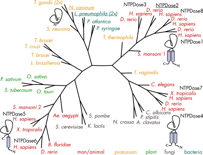 Fig. 3