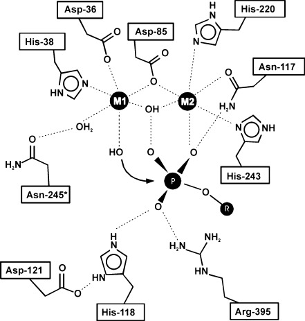 Fig. 9