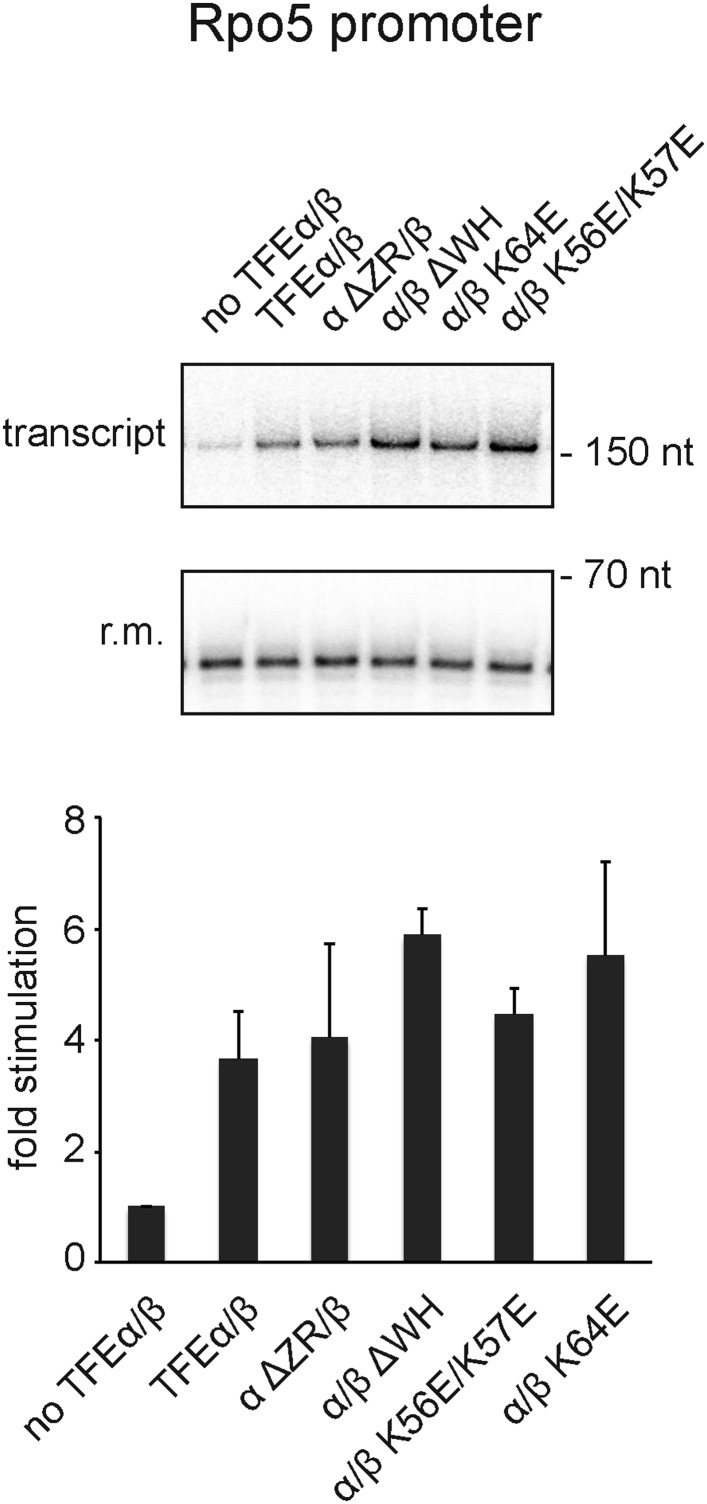 Figure 7—figure supplement 2.