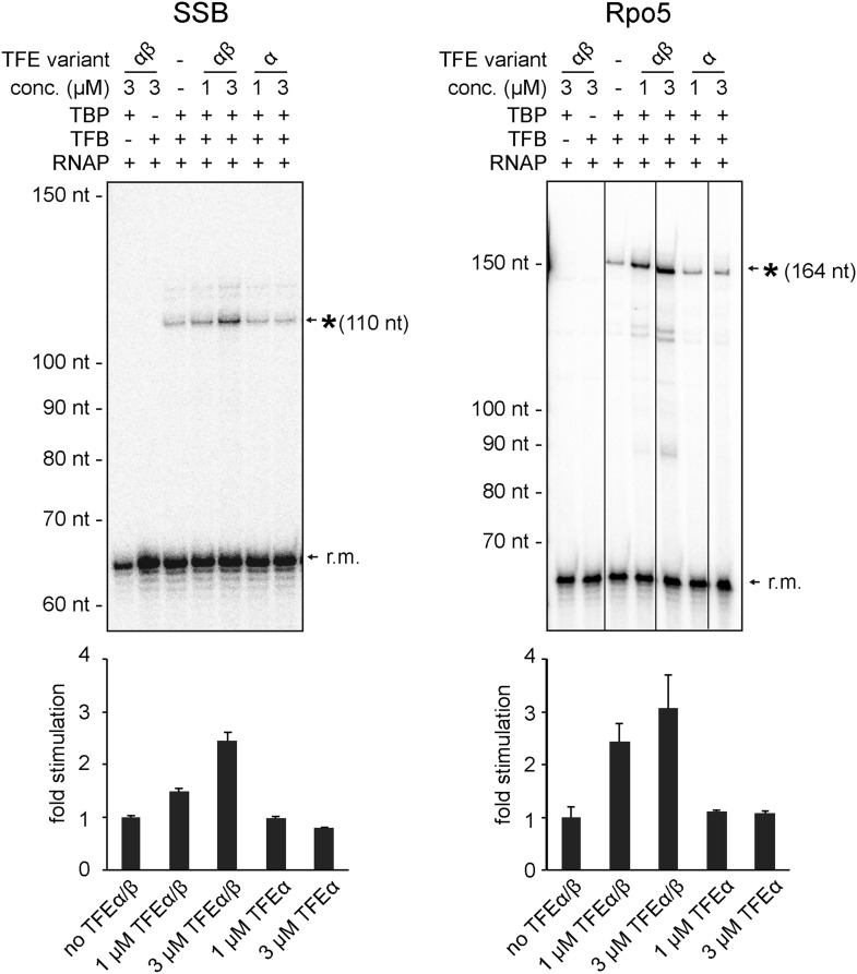 Figure 7—figure supplement 1.