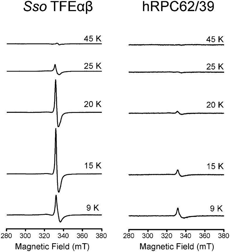 Figure 2—figure supplement 1.