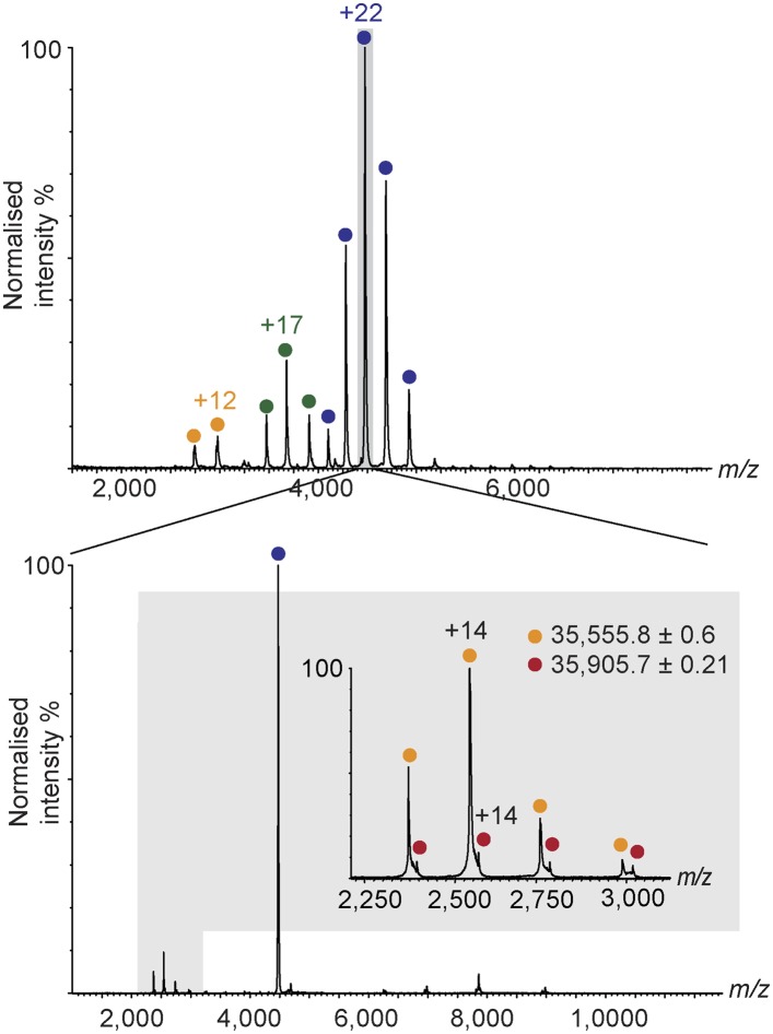 Figure 2—figure supplement 2.