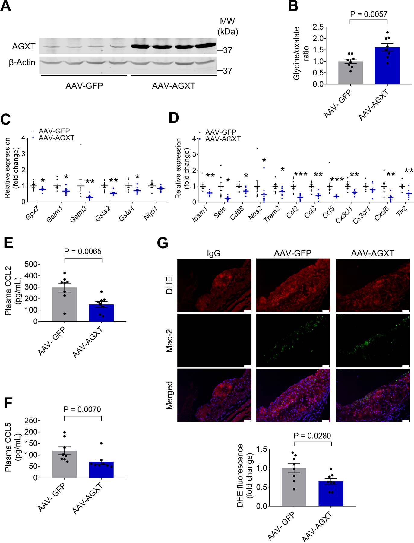 Figure 6: