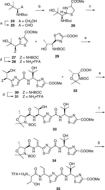 Scheme 6