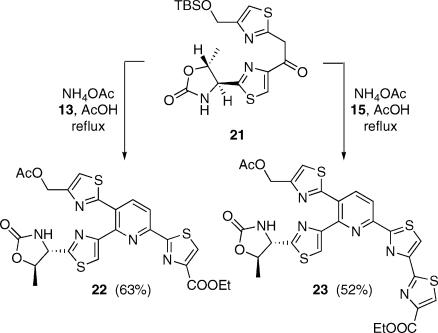 Scheme 5