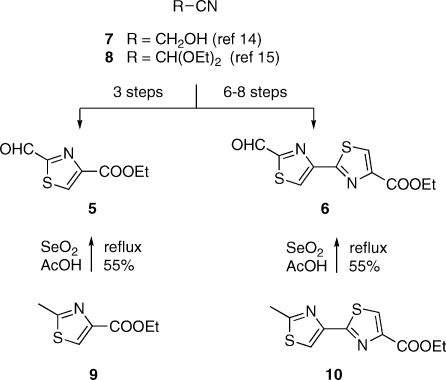 Scheme 2