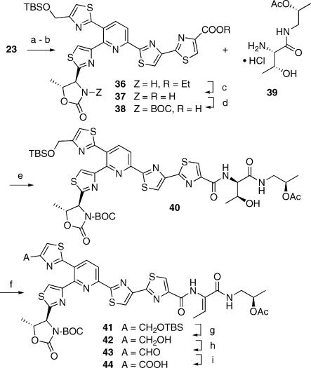 Scheme 7