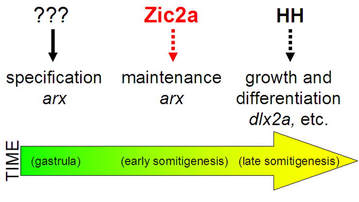 Fig. 8