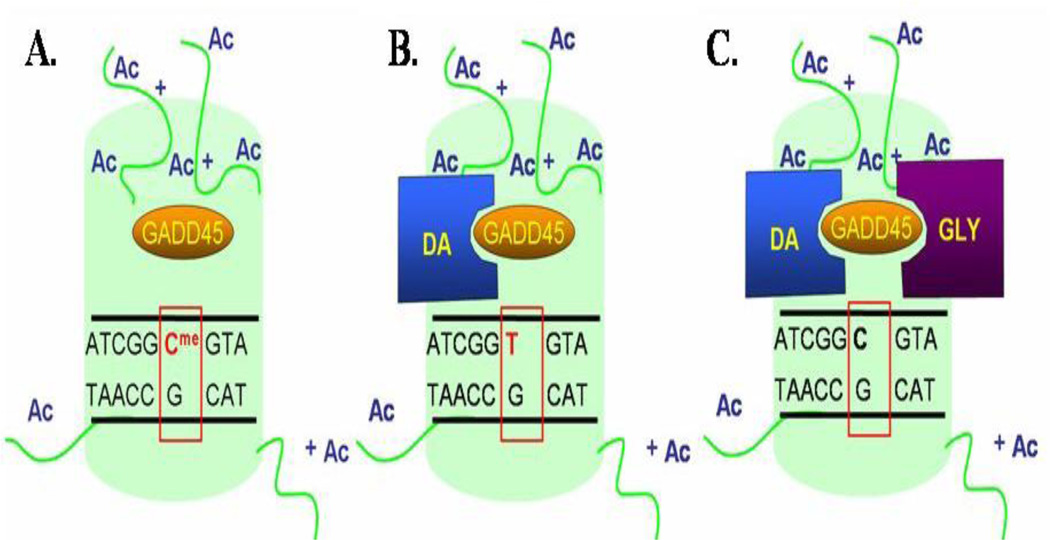 FIG 6