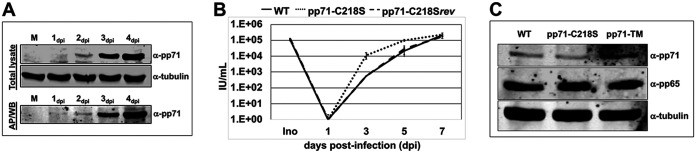 FIG 3