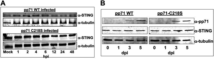 FIG 5