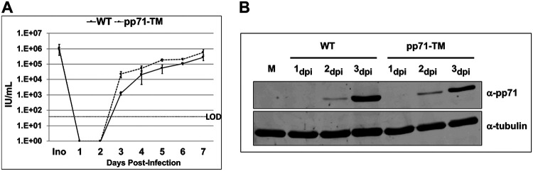 FIG 2