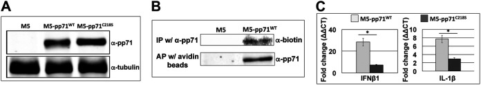 FIG 9