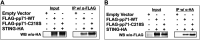 FIG 4