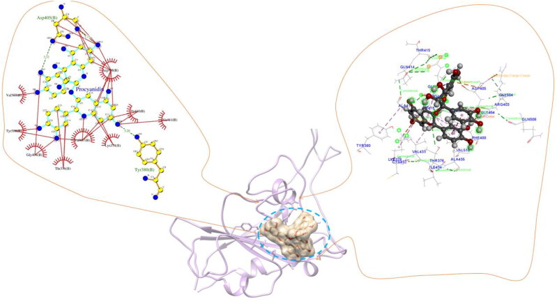 Figure 6.