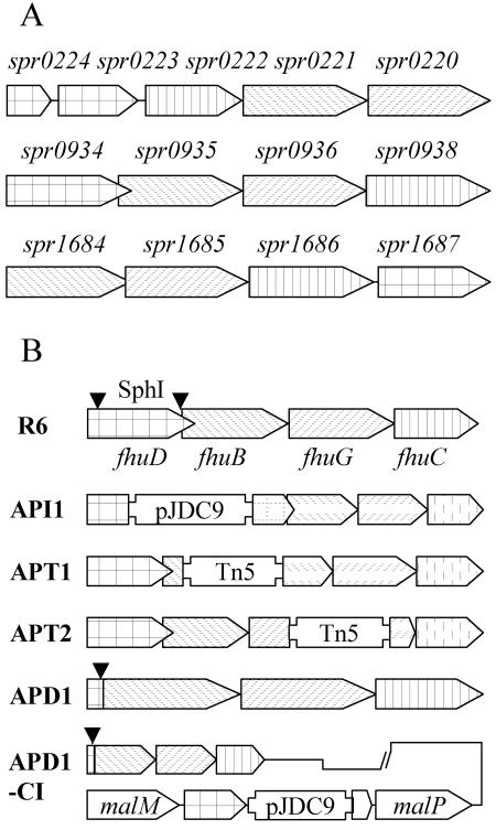 FIG. 3.